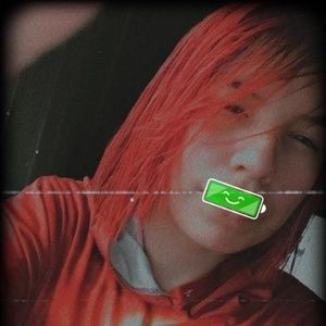 Meet your Posher, Dora